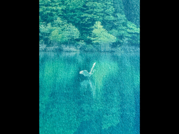 森と水の静寂 - 画像 (2)