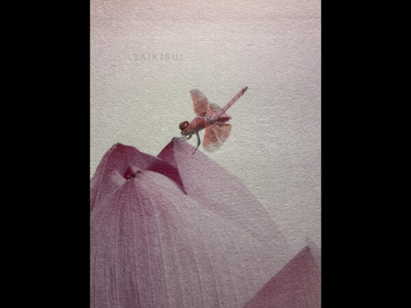 静かに咲く - 画像 (2)